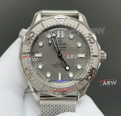 VS Factory Clone Seamaster Steel On Steel No Date Silver Face 8806 Watch